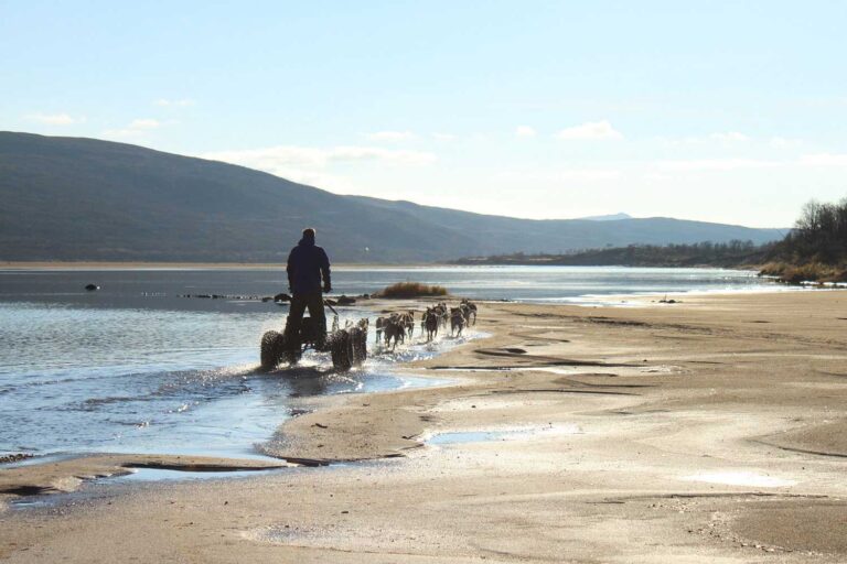 Hundekjøring Finnmark
