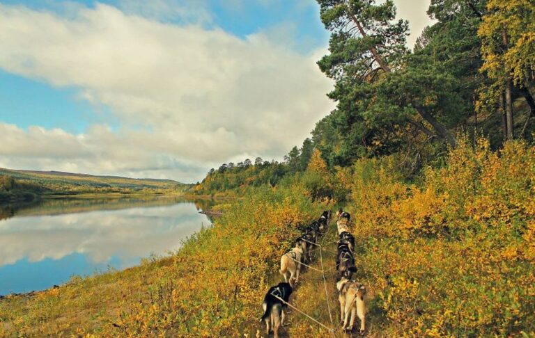 Hundekjøring Finnmark