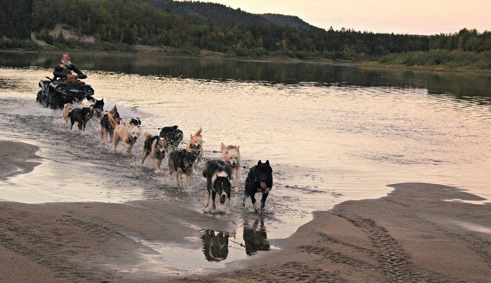 Hundekjøring Finnmark