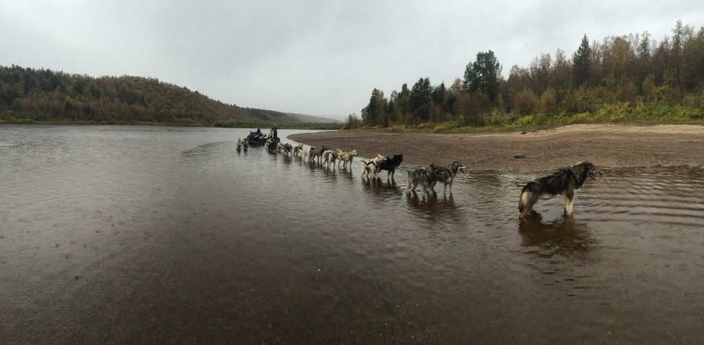 Hundekjøring Finnmark