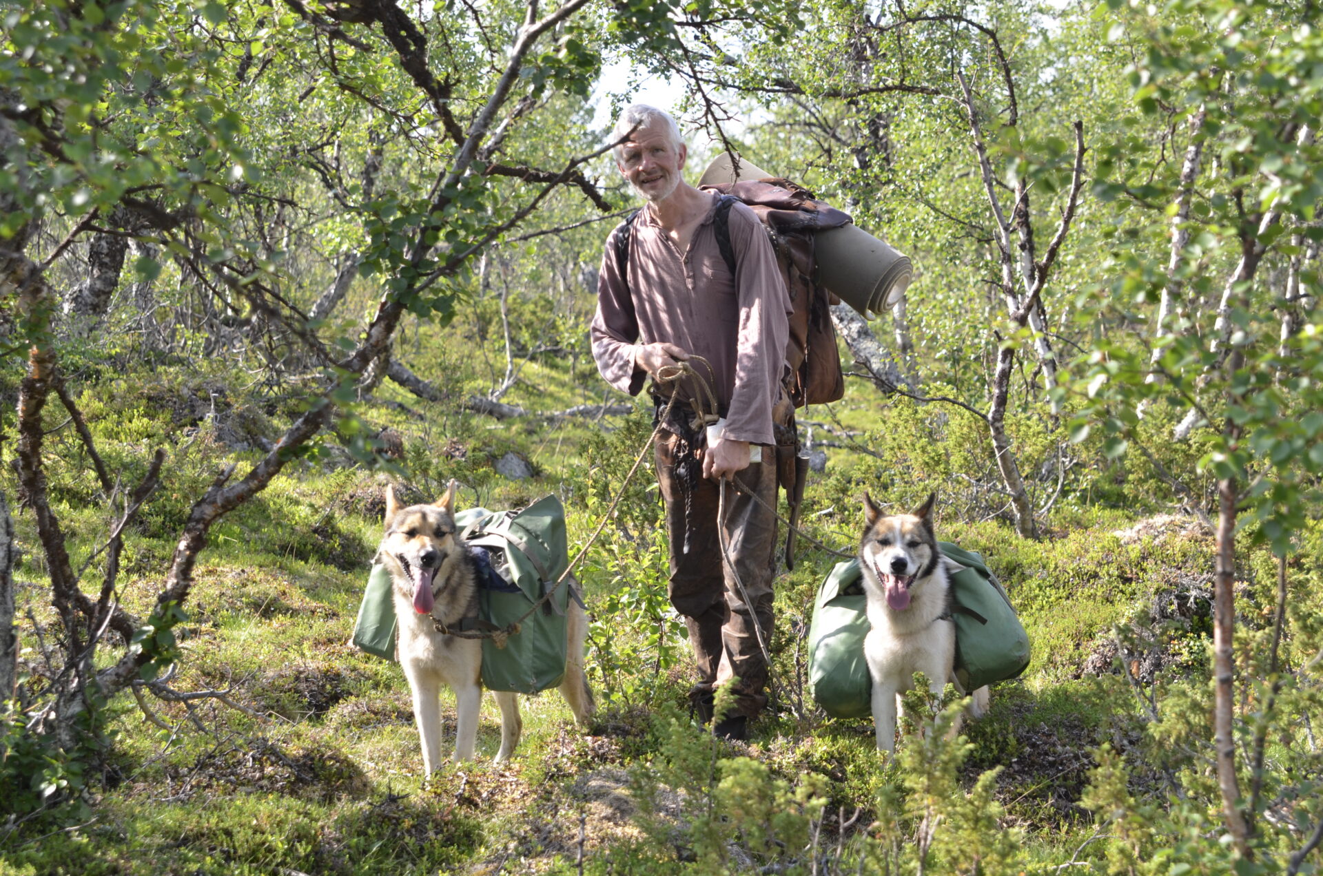 Hundekjøring Finnmark