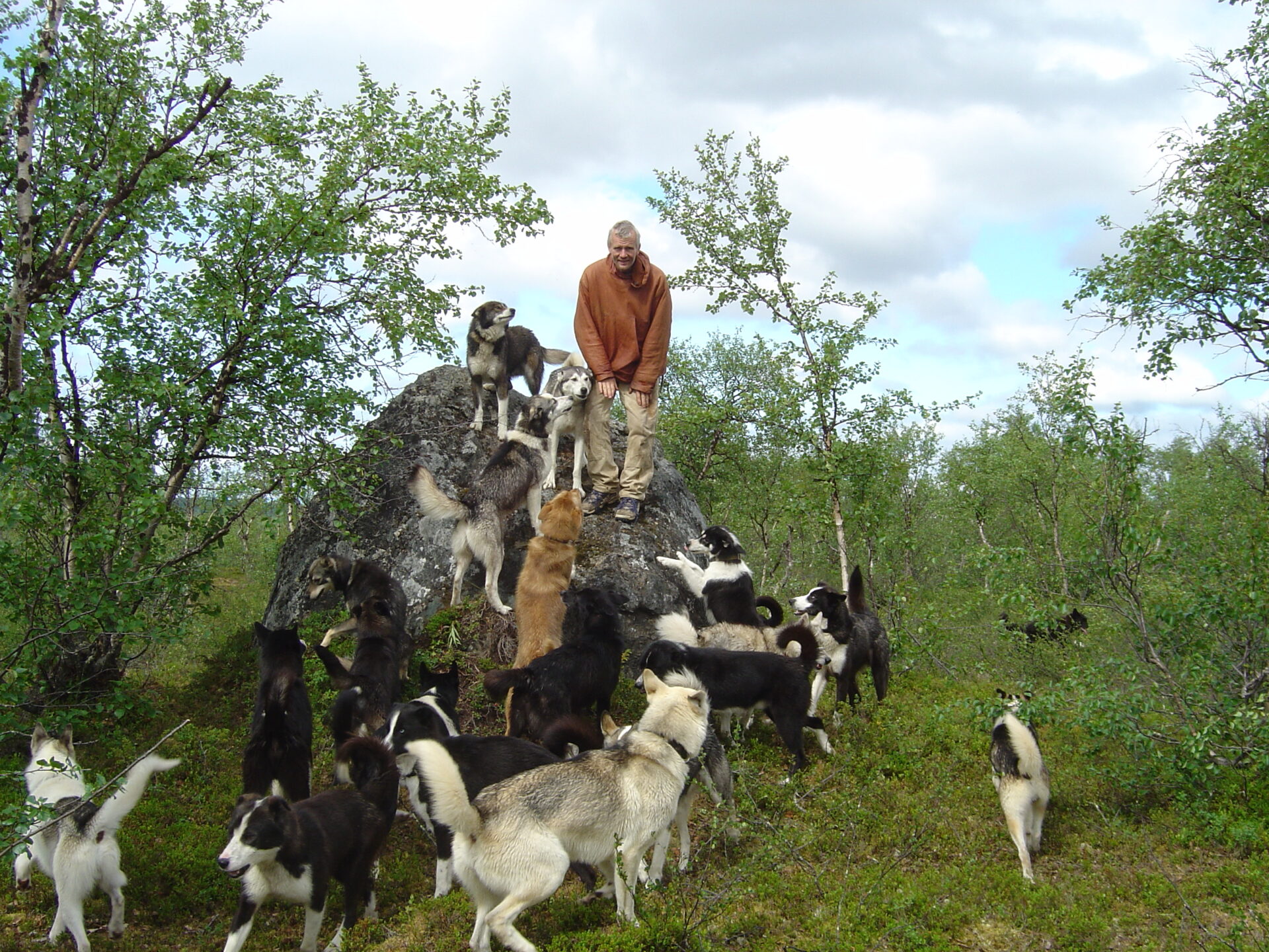 Hundekjøring Finnmark