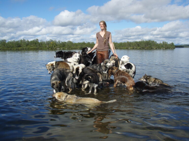 Hundekjøring Finnmark