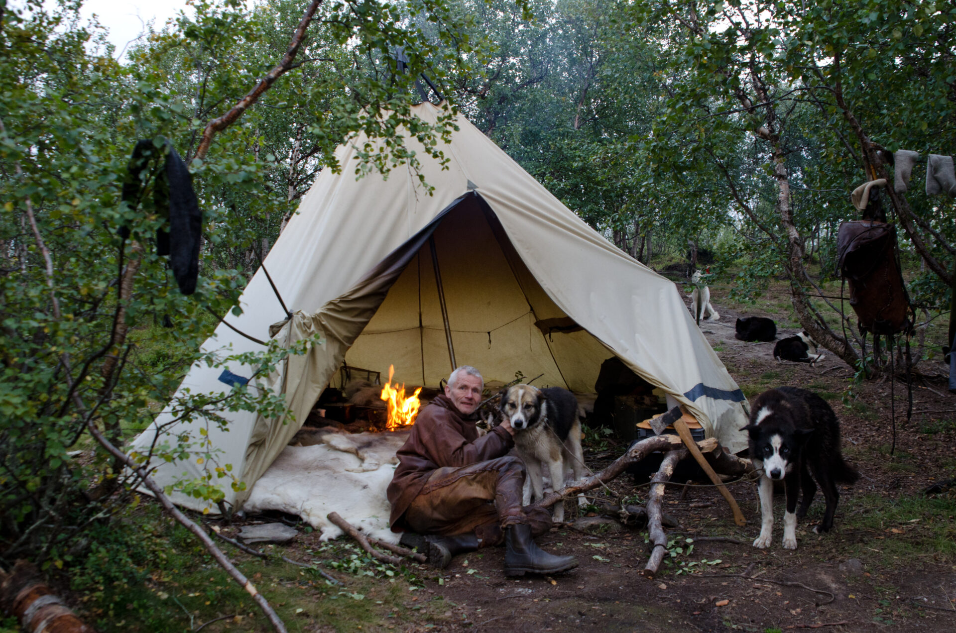 Hundekjøring Finnmark